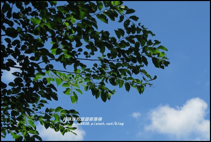 林美石磐步道20.JPG