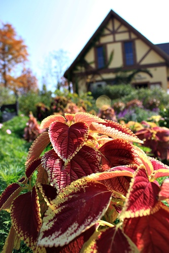 ＊愛與幸福的莊園－心之芳庭