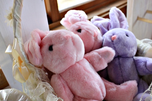 ＊愛與幸福的莊園－心之芳庭