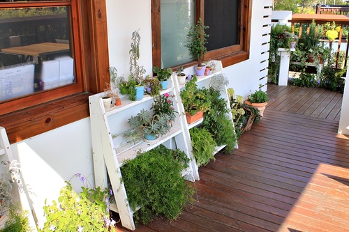 ＊愛與幸福的莊園－心之芳庭