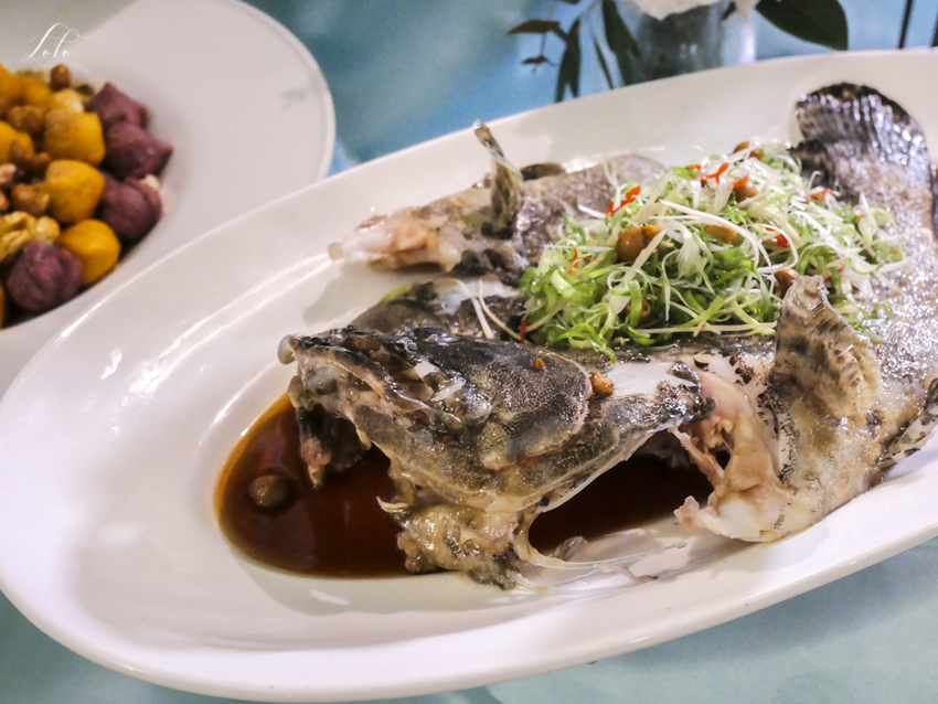 20190224-P1350249.jpg 20190224-P1350249.jpg