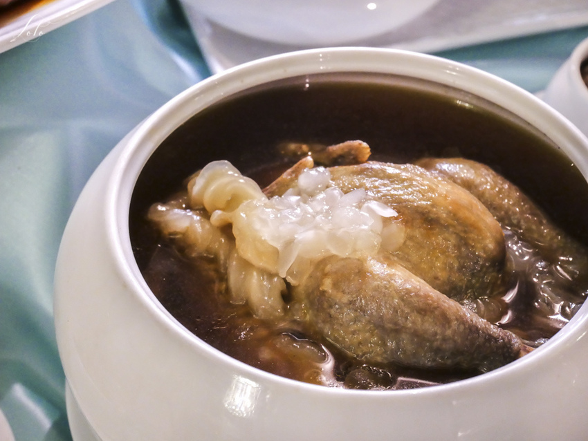 20190224-P1350248.jpg 20190224-P1350248.jpg