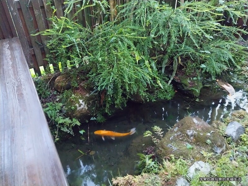 【花蓮。壽豐鄉】潭心閣民宿39.jpg