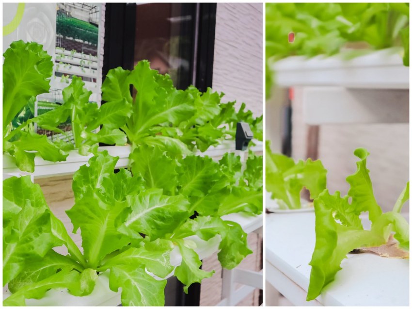 20-08-12-00-36-54-277_deco