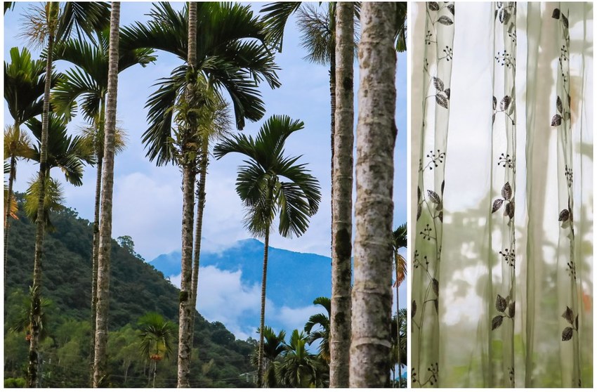 20-08-12-00-39-34-775_deco-01