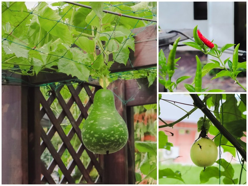 20-08-12-01-14-24-981_deco