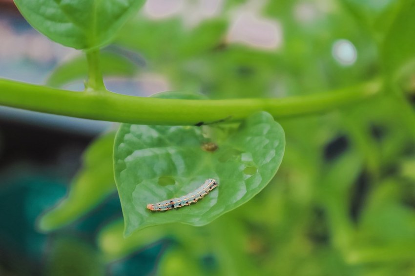 2020-08-11-23-26-37-901