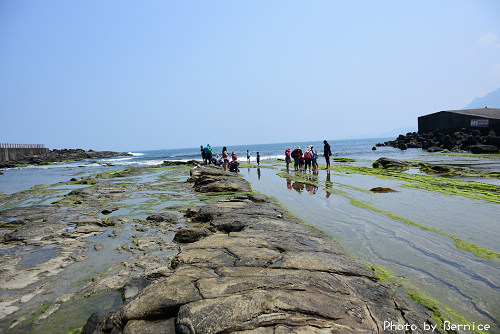 0408 4-潮間帶18