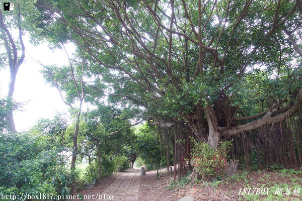 【苗栗。造橋】鐵道迷最愛海線五寶之一。談文車站。日式風情木造車站。順遊在地休憩祕境。談文石頭公土地公廟