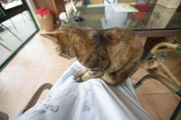 豆麥私房菜 - 19