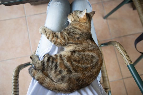 豆麥私房菜 - 17