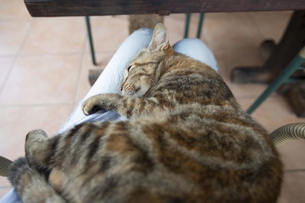 豆麥私房菜 - 18