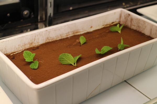 味集廚房 Market Café:士林‧天母吃到飽『 Market Café 味集廚房』國賓飯店/捷運芝山站/近SOGO