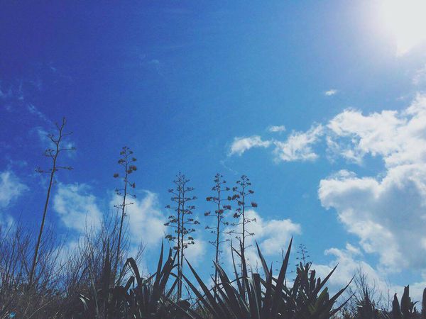 12842547_950381968343280_1594767040_o.jpg 12842547_950381968343280_1594767040_o.jpg