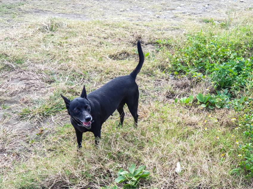 source: imgur.com 台東景點||都蘭鼻-東河私房景點,阿美族人的聖地||東河鄉