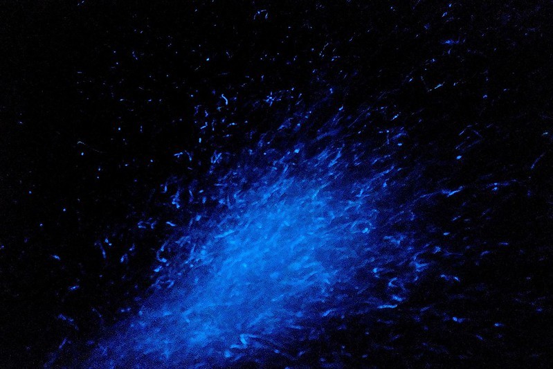 20190504_190516_0001