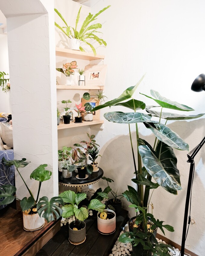 【桃園美食推薦】香草蛋糕舖民族總店～ 桃園最好吃蛋糕店！平價義大利麵、燉飯、蛋糕、飲品超豐富～桃園平價下午茶、桃園火車站美食