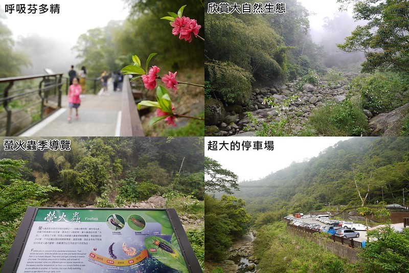 åæ½­èªç¶çæåå20190413