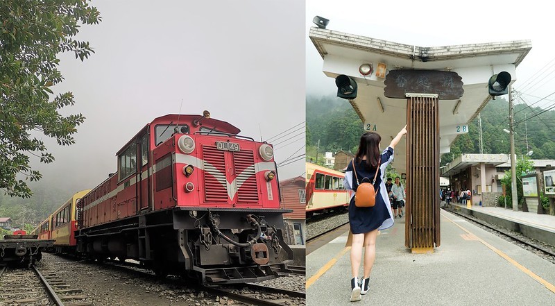 2019奮起湖景點/美食/一日遊/二日遊/嘉義賞螢秘境