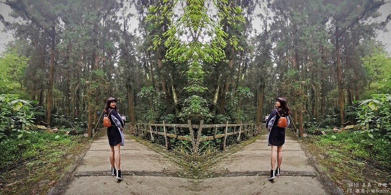 2019奮起湖景點/美食/一日遊/二日遊/嘉義賞螢秘境