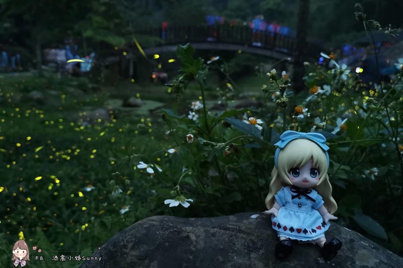 åæ½­èªç¶çæåå20190413