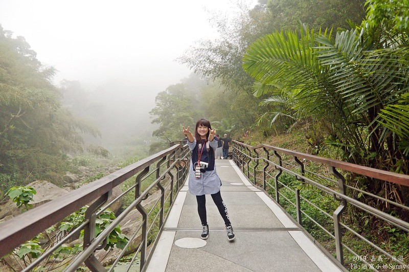 2019奮起湖景點/美食/一日遊/二日遊/嘉義賞螢秘境