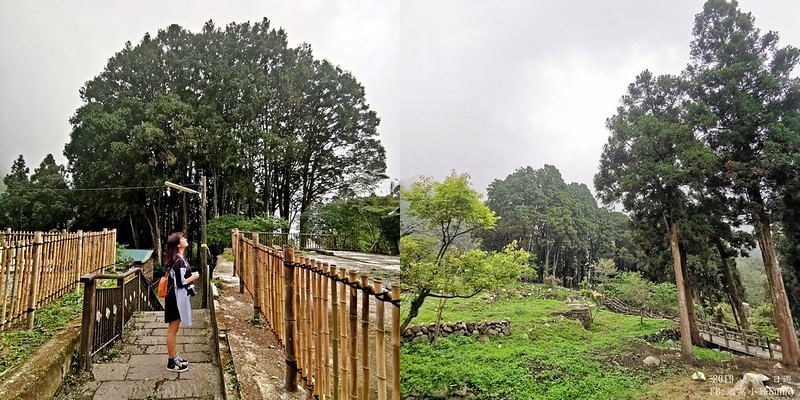 2019奮起湖景點/美食/一日遊/二日遊/嘉義賞螢秘境