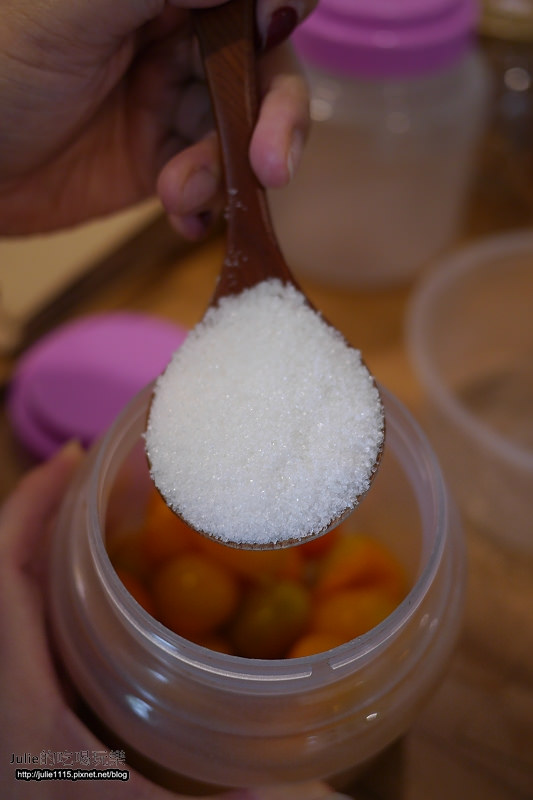 宜蘭市●景點●橘之鄉形象館(DIY蜜餞)、AGRIOZ咖啡館