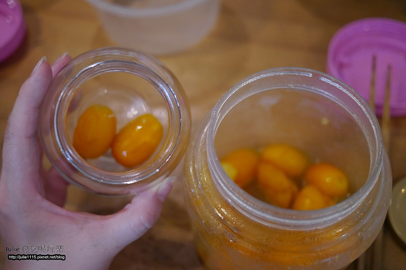 宜蘭市●景點●橘之鄉形象館(DIY蜜餞)、AGRIOZ咖啡館