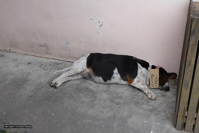 宜蘭市●景點●橘之鄉形象館(DIY蜜餞)、AGRIOZ咖啡館