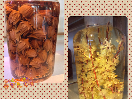 (旅遊)[宜蘭 員山]由我帶大家走一遍～橘之鄉重點介紹！