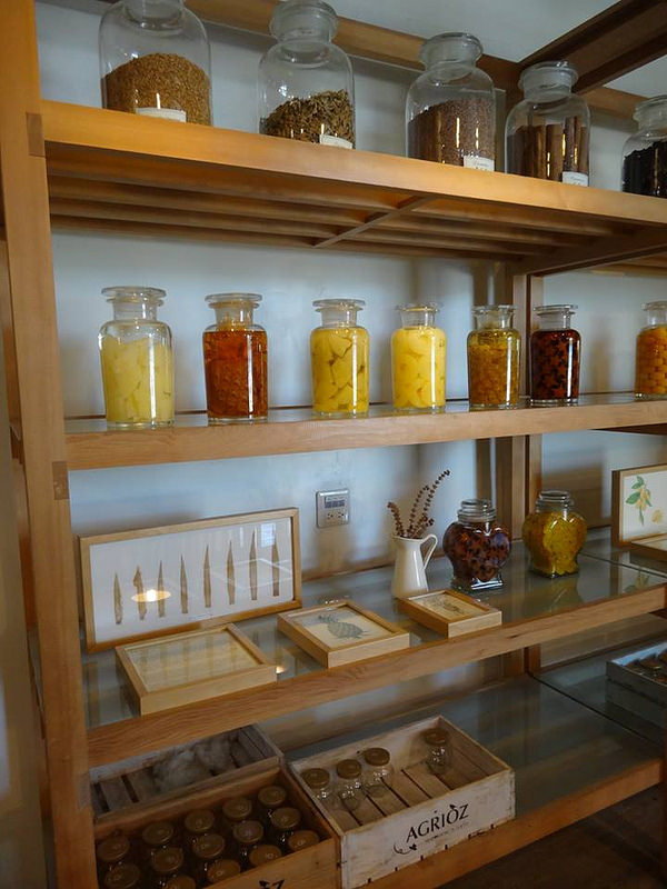 橘之鄉 (52) 橘之鄉 (52)