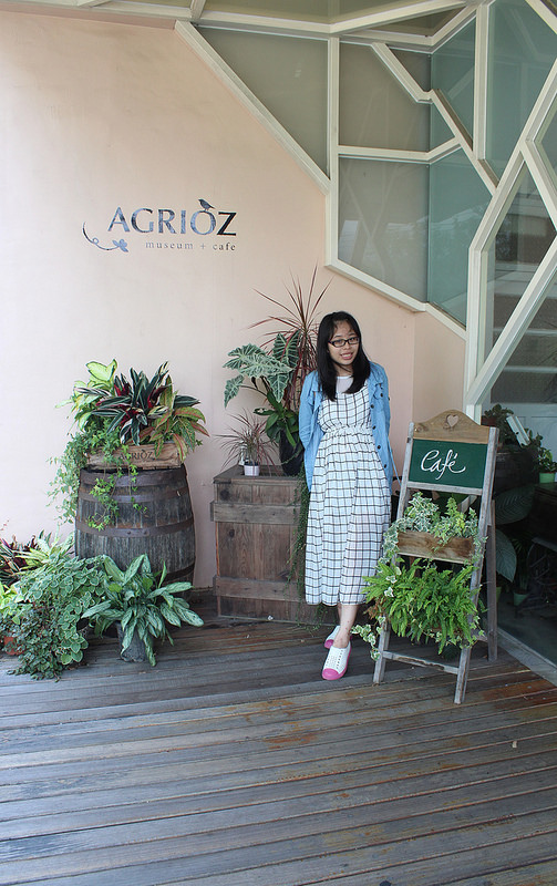 橘之鄉 (31) 橘之鄉 (31)