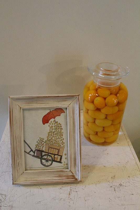 橘之鄉 (13) 橘之鄉 (13)