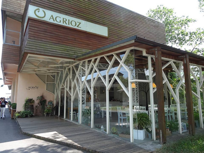 橘之鄉 (56) 橘之鄉 (56)