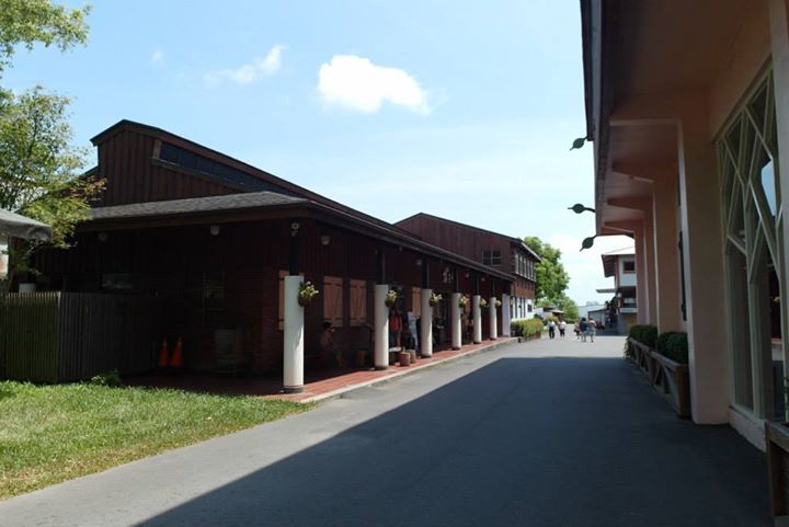 橘之鄉 (59) 橘之鄉 (59)