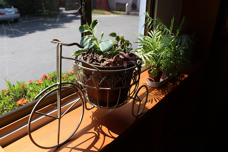 橘之鄉 (12) 橘之鄉 (12)