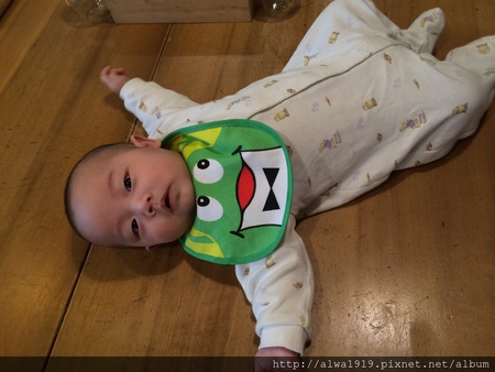 IMG_1686.JPG IMG_1686.JPG