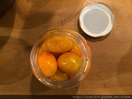 IMG_1695.JPG IMG_1695.JPG