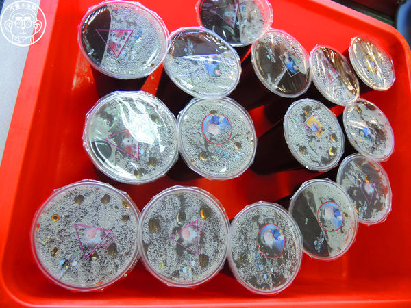 三廠姜店：呷飽祙【新竹･三廠姜店】資優生等級的眷村捲餅