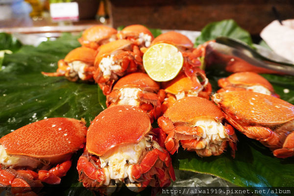 DSC03794.JPG DSC03794.JPG