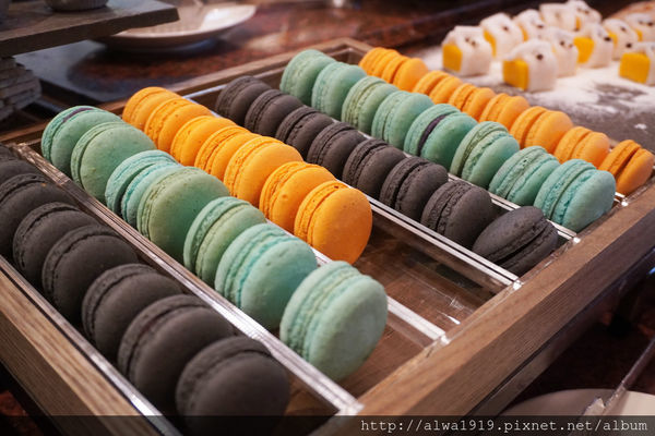 DSC03785.JPG DSC03785.JPG