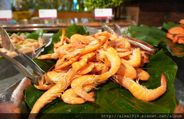 DSC03803.JPG DSC03803.JPG