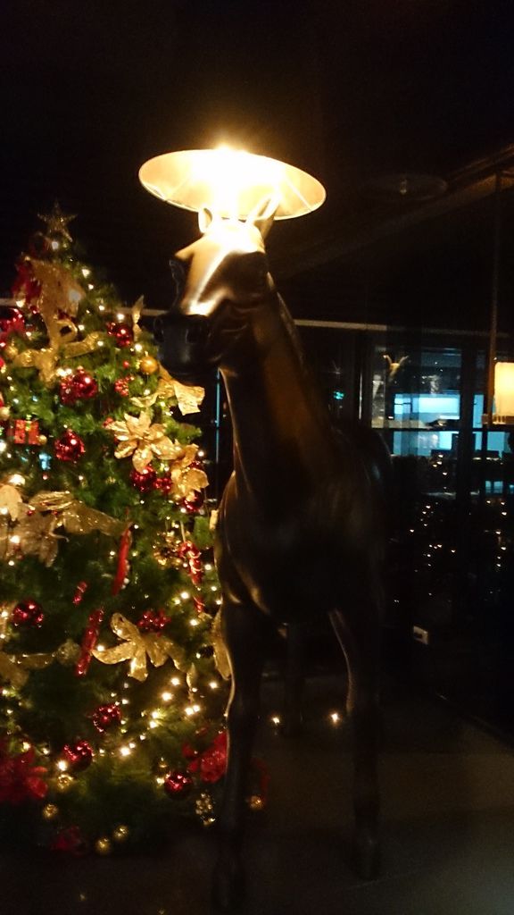 2013-11-29 19.11.17.jpg