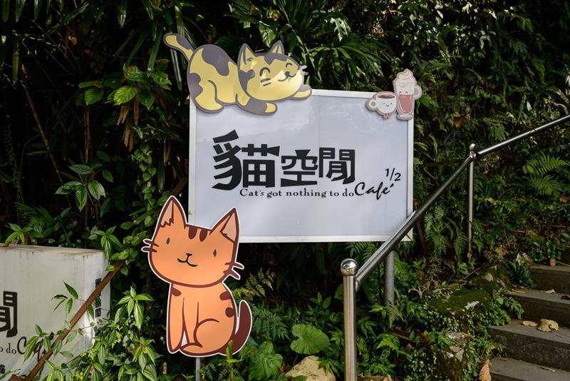 貓空豐茶祭來了！達人帶路教你找茶吃美食