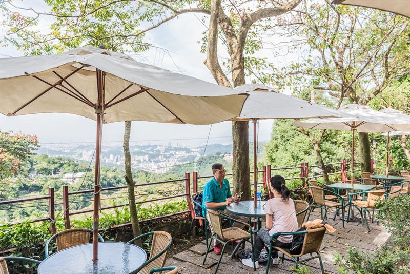 貓空豐茶祭來了！達人帶路教你找茶吃美食