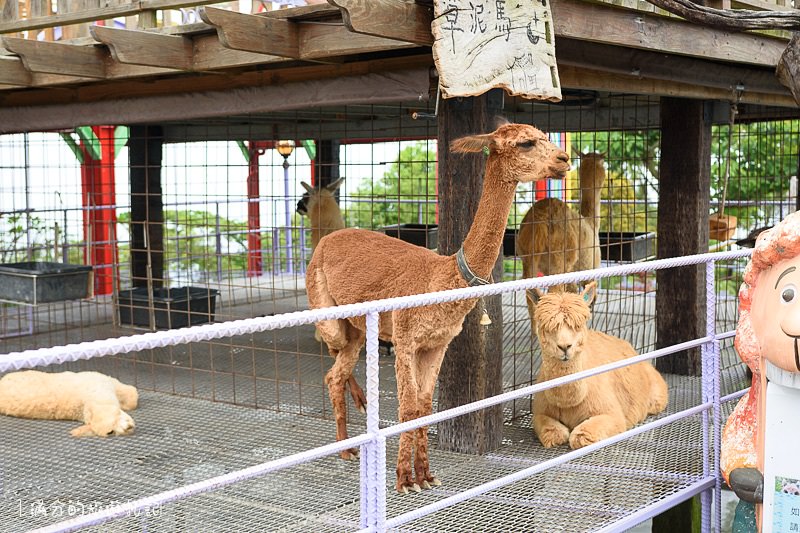 南投市景點》星月天空景觀餐廳 超廣角無敵夜景 在動物園裡下午茶 親子遊樂的好去處 - 滿分的旅遊札記