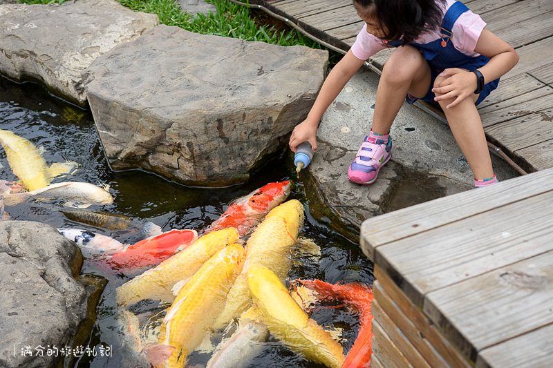 南投市景點》星月天空景觀餐廳 超廣角無敵夜景 在動物園裡下午茶 親子遊樂的好去處 - 滿分的旅遊札記