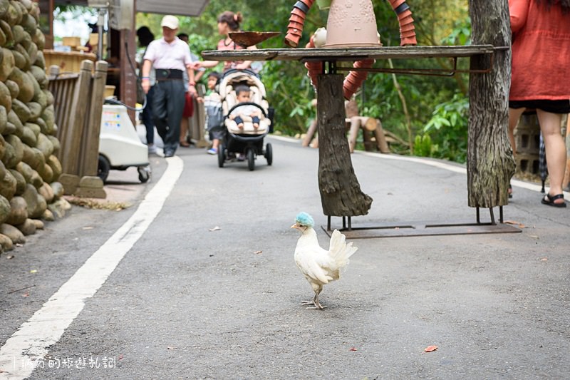 南投市景點》星月天空景觀餐廳 超廣角無敵夜景 在動物園裡下午茶 親子遊樂的好去處 - 滿分的旅遊札記