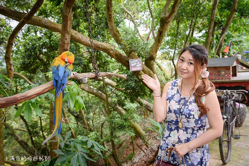 南投市景點》星月天空景觀餐廳 超廣角無敵夜景 在動物園裡下午茶 親子遊樂的好去處 - 滿分的旅遊札記